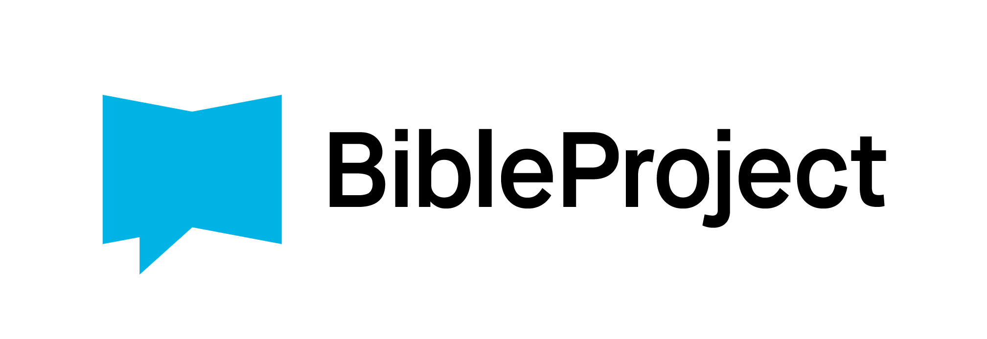 the bible project